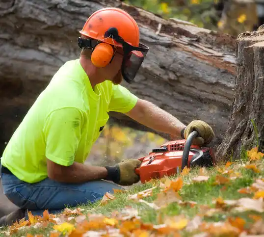 tree services Claycomo